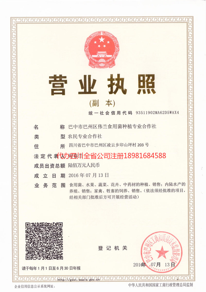 福建福建伟兰食用菌种植专业合作社